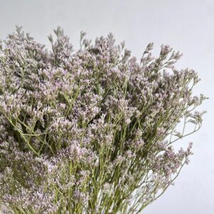 Limonium sinensis. Natural Vintage Lilac, Dried (Sea Lavender) 70cm