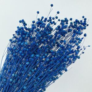 Bubble Flax, Deep Blue, Dried (Linum) 60cm