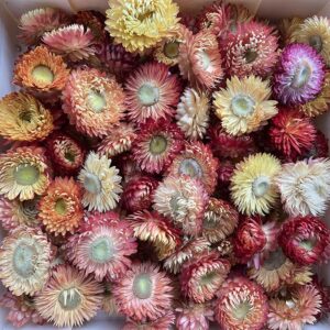 Loose Flowers & Sprigs