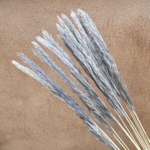 Mini Pampas, Pale Blue-Grey, Dried (Tail Reed) 70cm