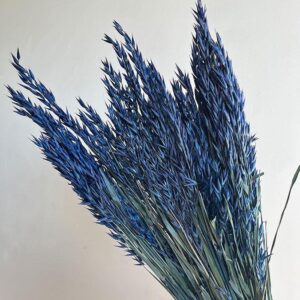 Oats Dried Bunch, Dark Blue (Avena) 70cm