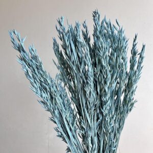Oats Dried Bunch, Pastel Light Blue (Avena) 70cm