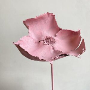 Palm Cups, Misty Pale Pink, Dried, 50cm