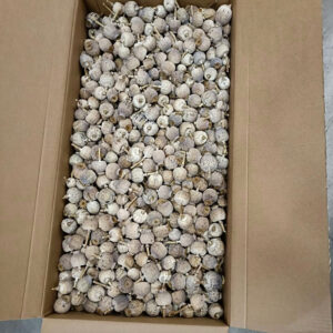 Poppy Seed Pods, Natural, Dried (Papaver) 8KG ~ BOX DEAL