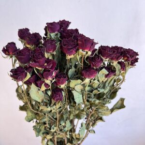 Spray Roses, Natural Dark Red, Dried, 50-60cm