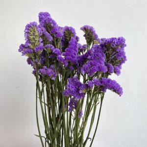 Statice Sinuata, Natural Violet Purple, Dried, 80cm