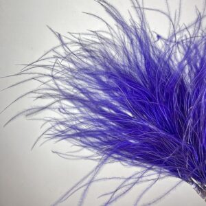 Stipa pennata Feather Grass, Deep Purple, Dried, 70cm