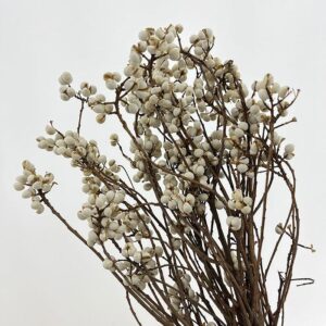Tallow Berry Branches, Natural White, Dried, up to 25cm