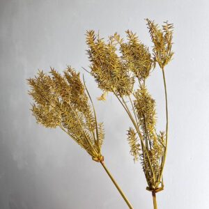 Umbrella Plant, Dried, Warm Yellow 45cm