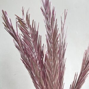 Fish Bone Palms, Metallic Pink, Dried, 110cm, Leaf size approx. H/100cm W/12-15cm