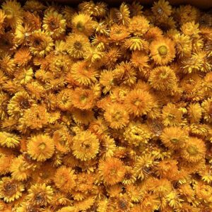 Helichrysum brac. Dried Loose Flower Heads, Natural Yellow (Strawflowers) 500g
