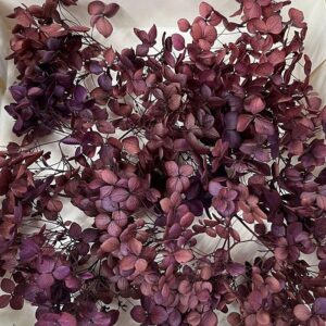 Hydrangea, Preserved Florets up to 10cm – Midnight Purple