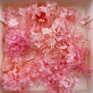 Hydrangea, Preserved Florets up to 10cm – Blossom Pink