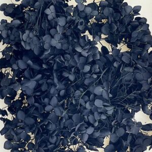 Hydrangea, Preserved Florets up to 10cm – Black