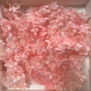 Hydrangea, Preserved Florets up to 10cm – Pale Pink