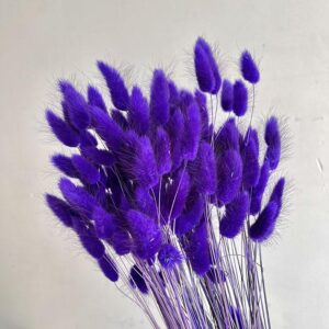 Lagurus Grass, Violet Purple, Dried (Bunny Tails) 50-70cm 90g