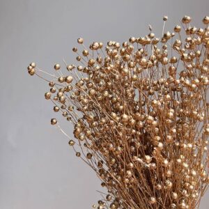 Bubble Flax, Metallic Warm Gold, Dried (Linum) 45cm