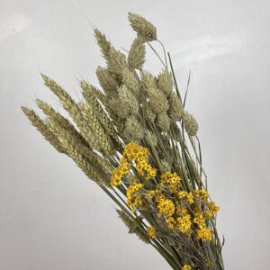 Bouquet Dried Mix, Natural Sanfordii, Wheat and Phalaris, 50cm