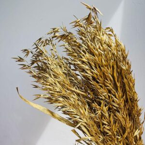 Oats Dried Bunch, Metallic Gold (Avena) 70cm