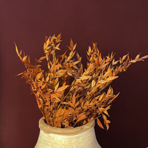 Heavenly Bamboo, Dark Orange, Preserved (Nandina) up to 95cm