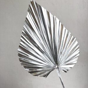 Palm Spears, Metallic Silver, Dried, Large,50cm