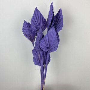 Palm Spears, Deep Lilac, Dried, 40-60cm