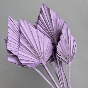 Palm Spears, Pale Lilac, Dried, Regular, 35-55cm
