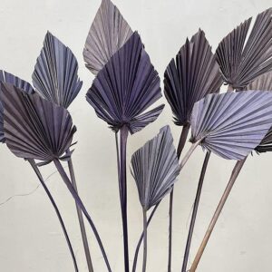 Palm Spears, Vintage Lilac Shades, Dried Mixed Sizes, 40-50cm