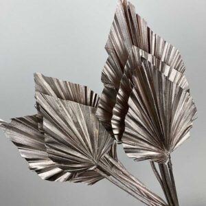 Palm Spears, Metallic Rose Gold, Dried,