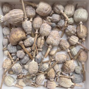 Poppy Seed Pods, Natural, Dried (Papaver) 200g