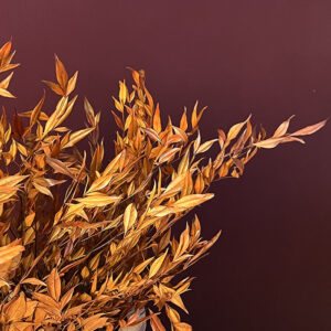 Heavenly Bamboo, Dark Orange, Preserved (Nandina) 40cm