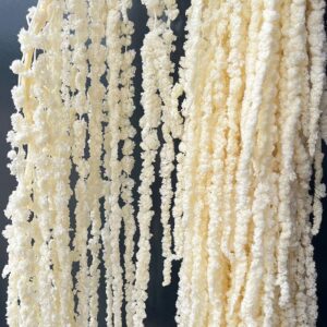Amaranthus caudatus, Bleached Creamy White, Preserved (Cascading) up to 110cm