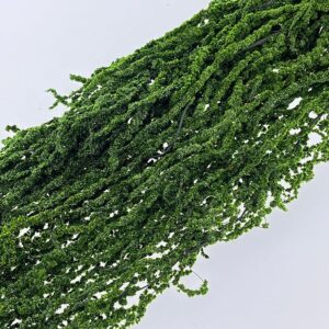 Amaranthus caudatus, Dark Green, Preserved (Cascading) up to 110cm