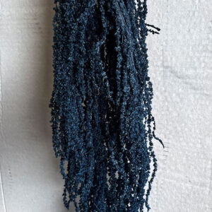 Amaranthus caudatus, Dark Blue, Preserved (Cascading) up to 110cm