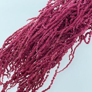 Amaranthus caudatus, Deep Pink, Preserved (Cascading) up to 110cm