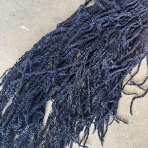 Amaranthus caudatus, Navy Blue, Preserved (Cascading) up to 110cm
