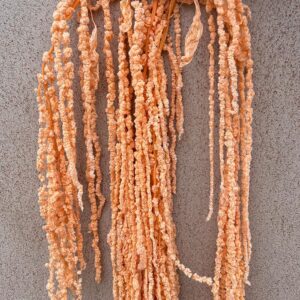 Amaranthus caudatus, Peach, Preserved (Cascading) up to 110cm