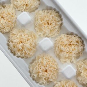 Carnations, Champagne, Preserved, x8 blooms, 5-6cm (Every Love®)