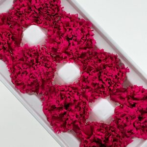 Carnations, Deep Magenta, Preserved, x8 blooms, 5-6cm (Every Love®)