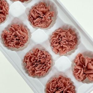 Carnations, Dusky Pink, Preserved, x8 blooms, 5-6cm (Every Love®)