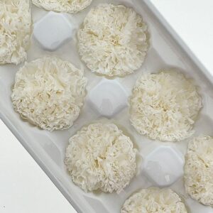 Carnations, White, Preserved, x8 blooms, 5-6cm