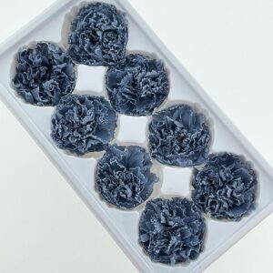 Carnations, Dusky Blue, Preserved, x8 blooms, 5-6cm (Every Love®)