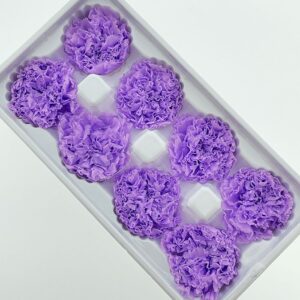 Carnations, Lilac, Preserved, x8 blooms, 5-6cm (Every Love®)