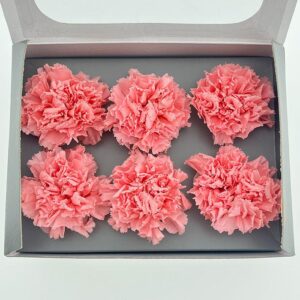 Carnations, Pastel Pink, Preserved, x6 blooms, 5cm (Verdissimo®)