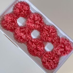 Carnations, Pink, Preserved, x8 blooms, 5-6cm