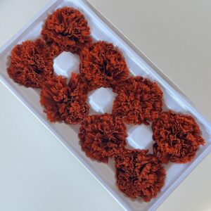 Carnations, Rusty Brown, Preserved, x8 blooms, 5-6cm (Every Love®)