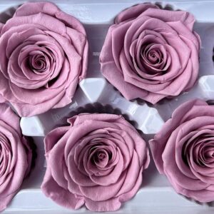 Roses, Taro, Muted Pink Purple, Preserved, x6 blooms, 6cm (Every Love®)