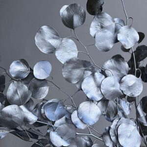 Eucalyptus Populus, Metallic Silver, Preserved, up to 65cm
