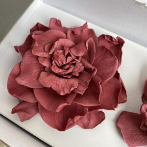 Gardenia Flowers, Vintage Pink, Preserved (Verdissimo®) x3 blooms 6-9cm