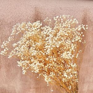Gypsophila, Natural White, Preserved (Baby’s Breath) up to 70cm